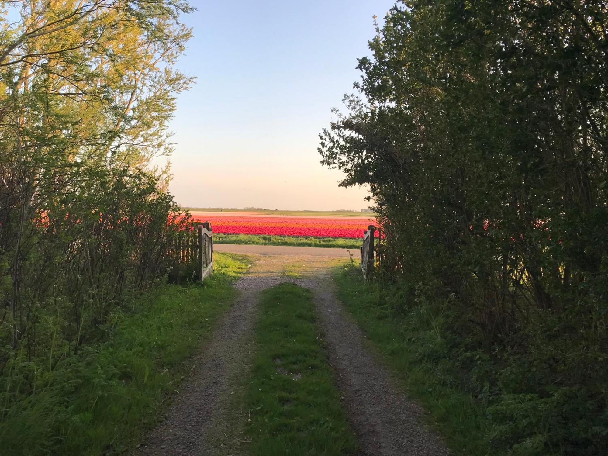 Flower Power Anna Paulowna Zewnętrze zdjęcie